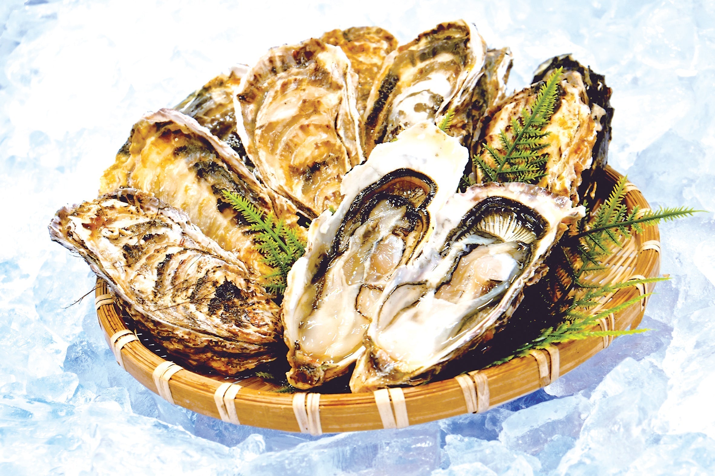 北のごちそう便り〈11月お届け商品〉