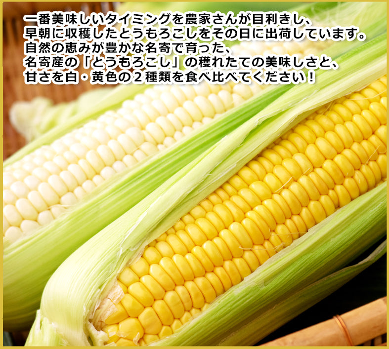 【頒布会】北のごちそう便り(年12回コース)→今なら初回半額！